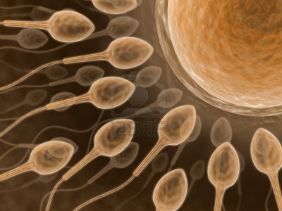 1454878-sperm-close-up-fecundation-of-the-spermatozoid-with-an-ovum
